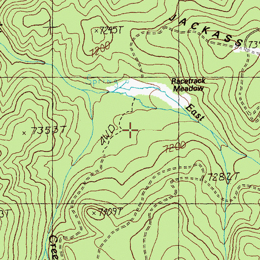 Topographic Map of Racetrack Meadow, ID