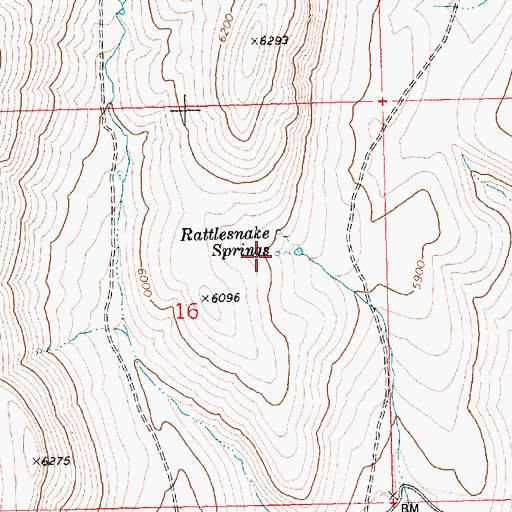 Topographic Map of Rattlesnake Springs, ID