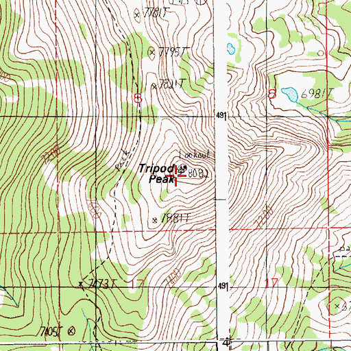 Topographic Map of Tripod Peak, ID