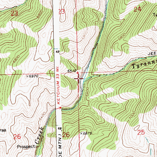 Topographic Map of Tyrannis Creek, ID
