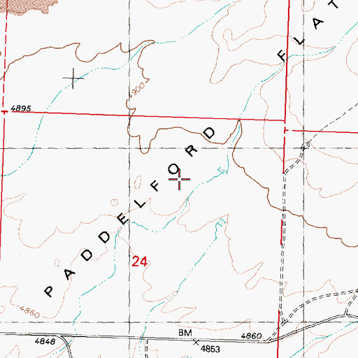 Topographic Map of Paddelford Flat, ID