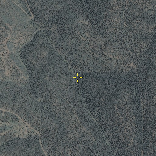 Aerial/Satellite Image of Long Canyon Spring, AZ