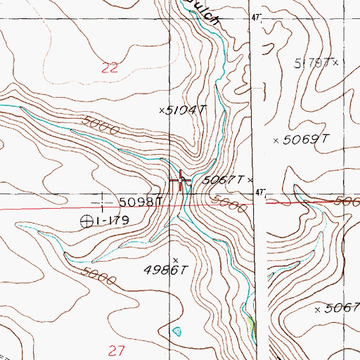 Topographic Map of Walker Gulch, ID