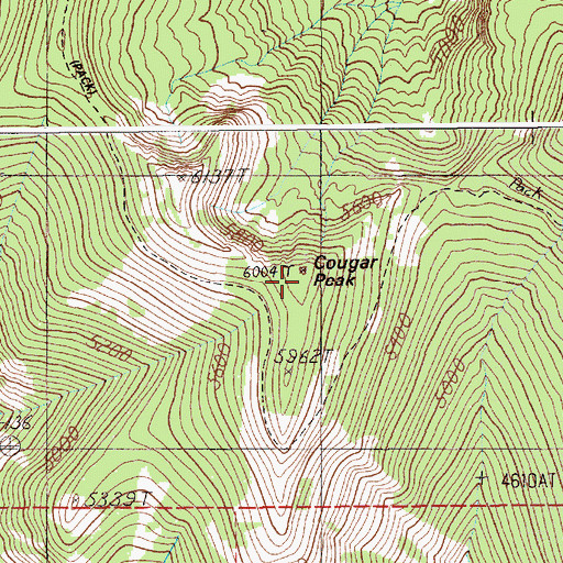 Topographic Map of Cougar Peak, ID