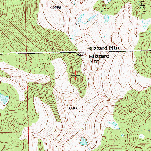 Topographic Map of Blizzard Mountain, ID