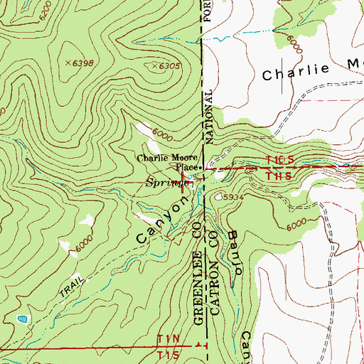 Topographic Map of Moore Spring, AZ