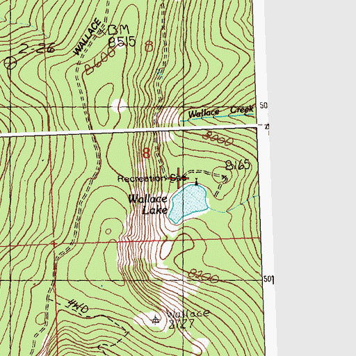 Topographic Map of Wallace Lake Recreation Site, ID