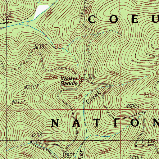 Topographic Map of Walker Saddle, ID