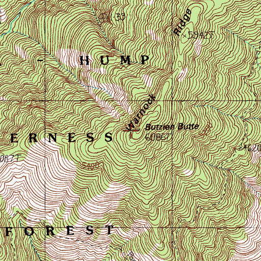 Topographic Map of Butzien Butte, ID