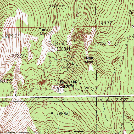Topographic Map of Hyatt Mine, ID