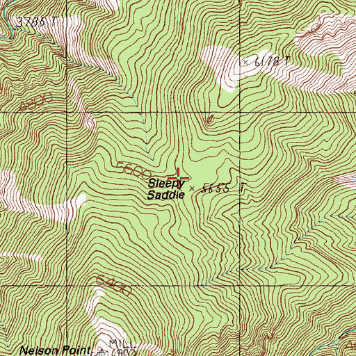 Topographic Map of Sleepy Saddle, ID