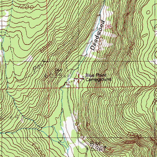 Topographic Map of Blue Point Campground, ID