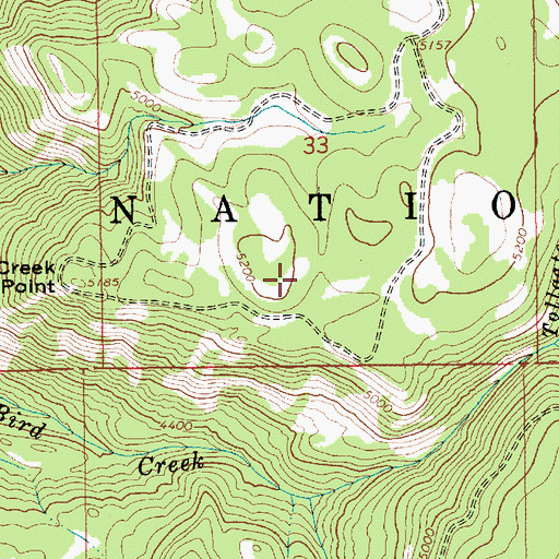 Topographic Map of Elk Meadows, ID