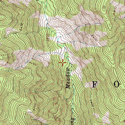 Topographic Map of Arizona Creek, ID
