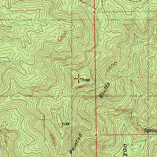 Topographic Map of Painted Bluffs, AZ
