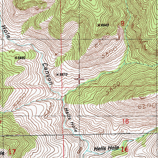 Topographic Map of Pig Pen Spring, AZ