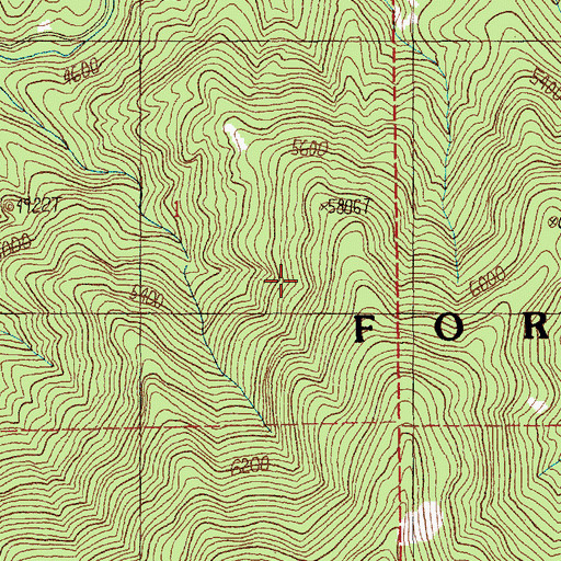 Topographic Map of Siver Springs, ID