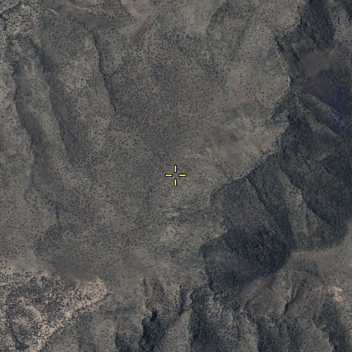 Aerial/Satellite Image of Ridge Tank, AZ