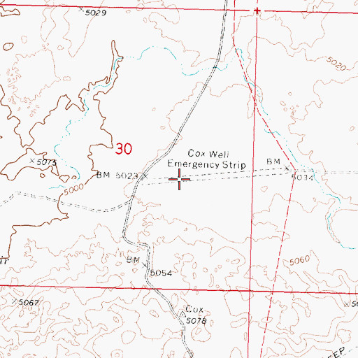 Topographic Map of Coxs Well Airport, ID