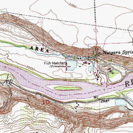 Topographic Map of Niagara Springs Hatchery, ID