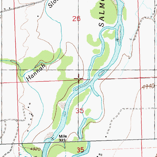 Topographic Map of Land of the Yankee Fork State Park & National Forest Historic Area, ID