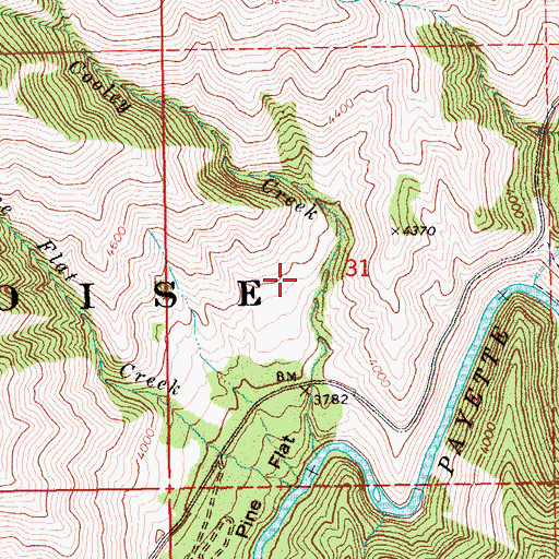 Topographic Map of Pine Flat Access Area, ID