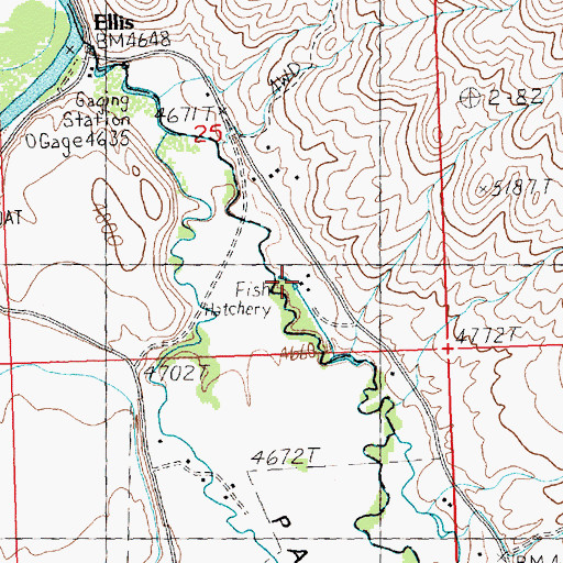 Topographic Map of Pahsimeroi Rearing Ponds, ID