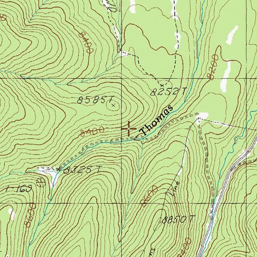 Topographic Map of Thomas Creek Weir, AZ