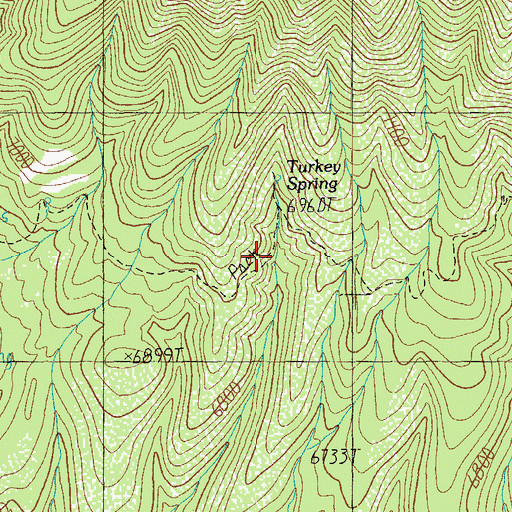 Topographic Map of Turkey Spring, AZ