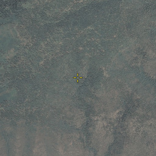 Aerial/Satellite Image of Upper Bear Spring, AZ