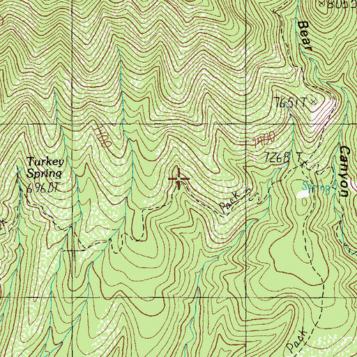 Topographic Map of Upper McBride Spring, AZ