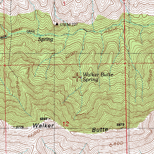 Topographic Map of Walker Butte Spring, AZ