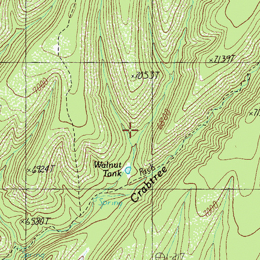 Topographic Map of Walnut Tank, AZ
