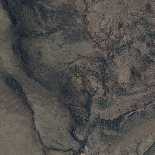 Aerial/Satellite Image of Webster Spring, AZ