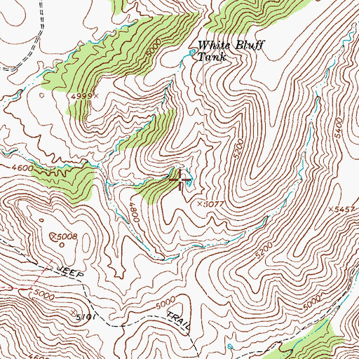 Topographic Map of White Basin Tank, AZ