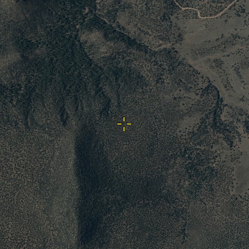Aerial/Satellite Image of Blue Ridge Elementary School, AZ