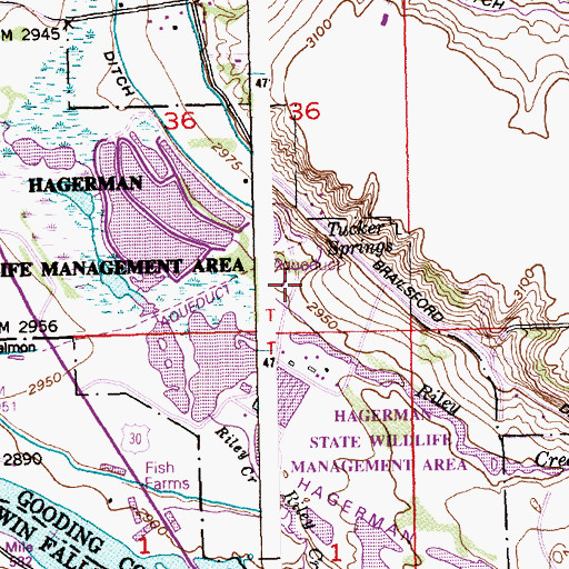 Topographic Map of Tucker Springs, ID