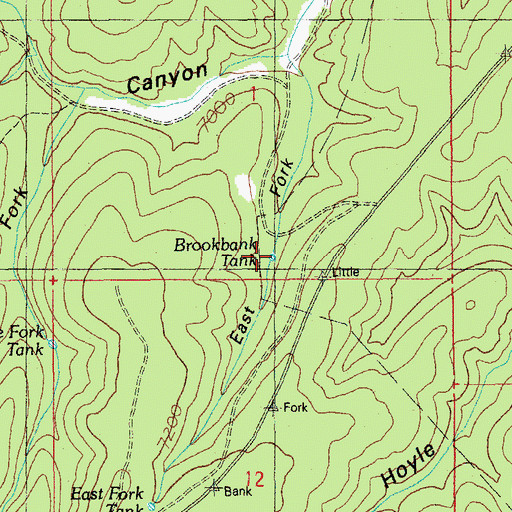Topographic Map of East Fork Tank, AZ