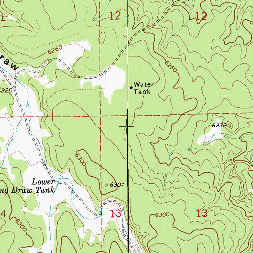 Topographic Map of Lower Trick Tank, AZ