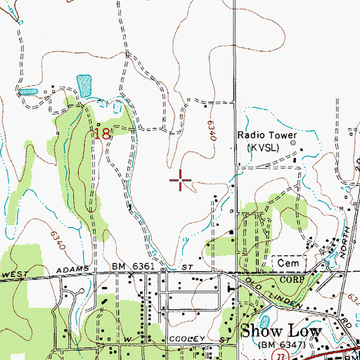 Topographic Map of Show Low Primary School, AZ