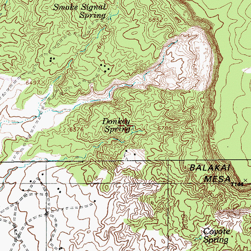 Topographic Map of Donkey Spring, AZ