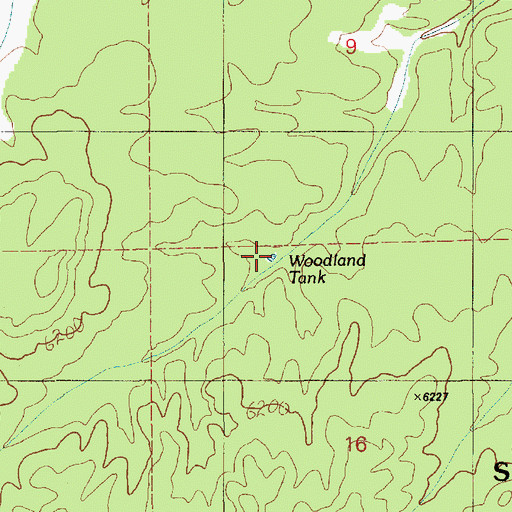 Topographic Map of Woodland Tank, AZ