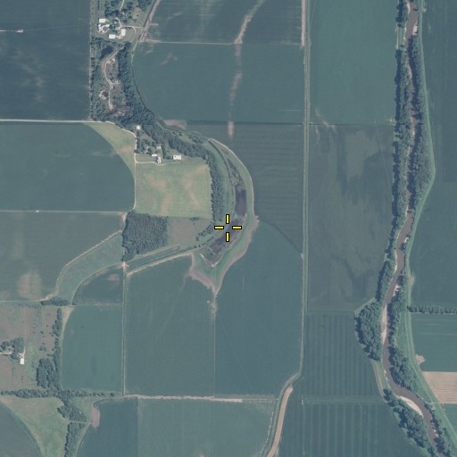 Aerial/Satellite Image of Horseshoe Lake, IL