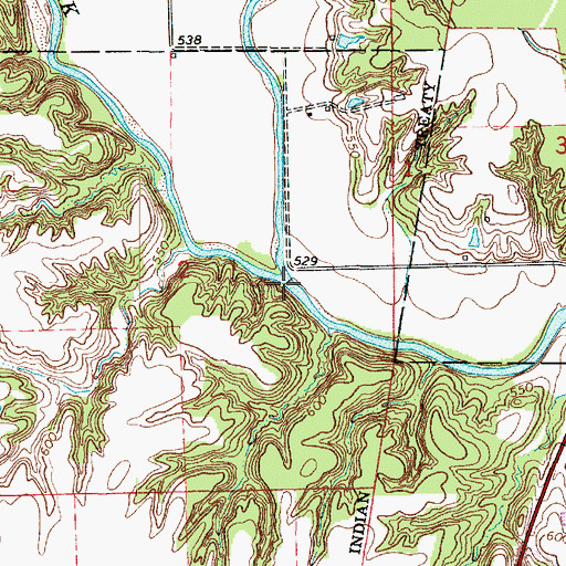 Topographic Map of East Fork Big Creek, IL