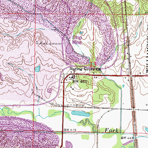 Topographic Map of New Spring Grove Cemetery, IL