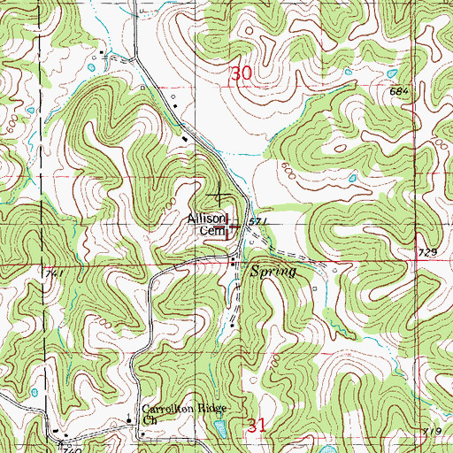 Topographic Map of Allison Cemetery, IL