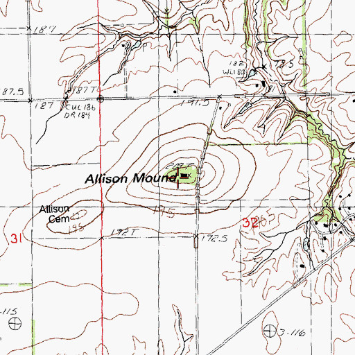 Topographic Map of Allison Mound, IL