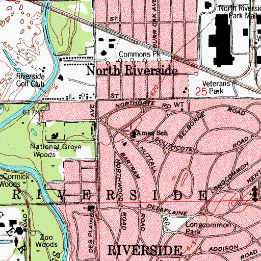 Topographic Map of A F Ames Elementary School, IL