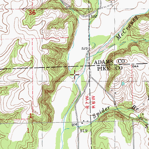 Topographic Map of Anderson Branch, IL