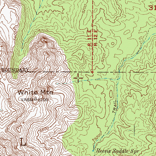 Topographic Map of Honeycutt Spring, AZ